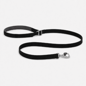 Dog Leash